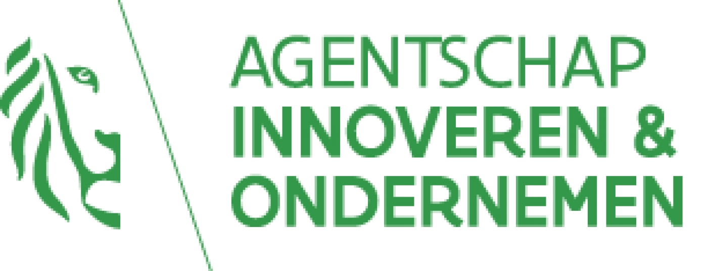Vlaams Agentschap Innoveren en Ondernemen